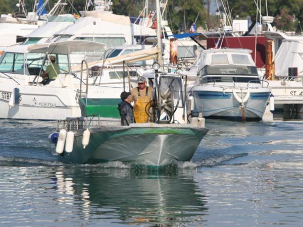 Oh! Campings La Brise Saintes-Maries-de-la-Mer Eksteriør bilde